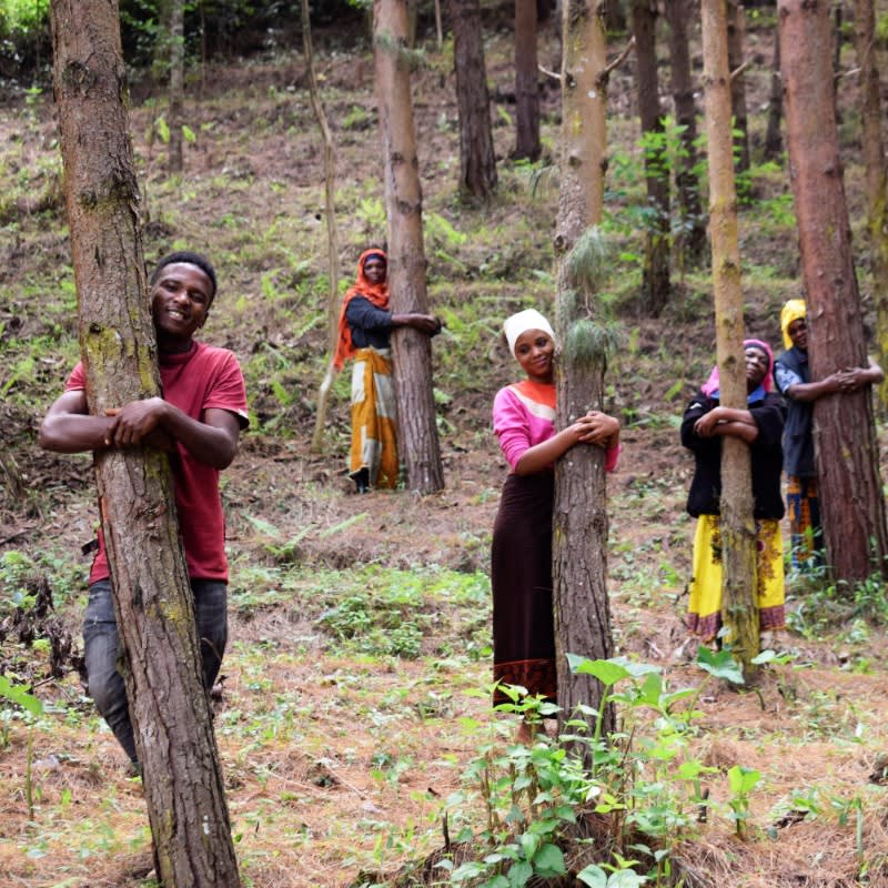 You Plant We Plant Tree Pouch, Grow a Tree and We'll Plant 500 More