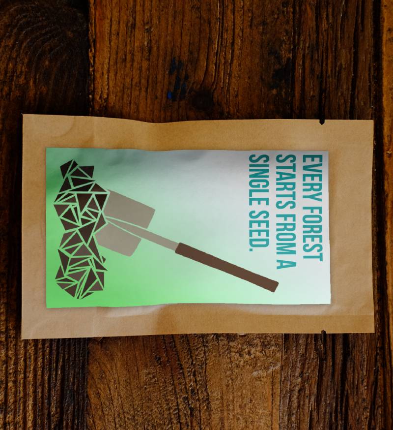 Every Forest Starts From a Single Seed – Tree Kit - We Plant 20 Trees-1